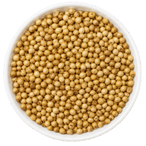 Coriander Seeds