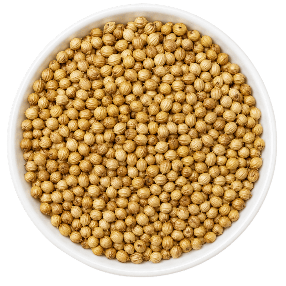 Coriander Seeds