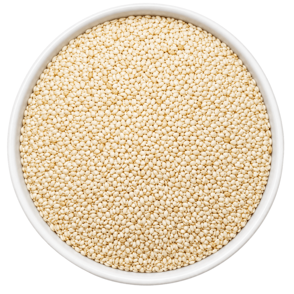 Sesame Seeds