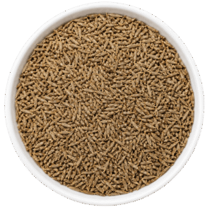Cumin Seeds
