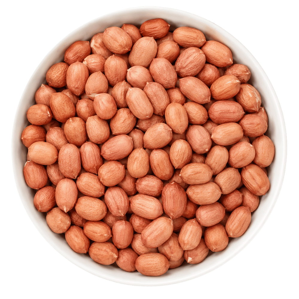 Peanut (Groundnuts)